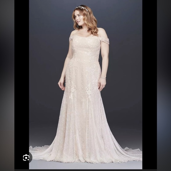 Elegant Lace Sleeveless wedding dress - Picture 14 of 15